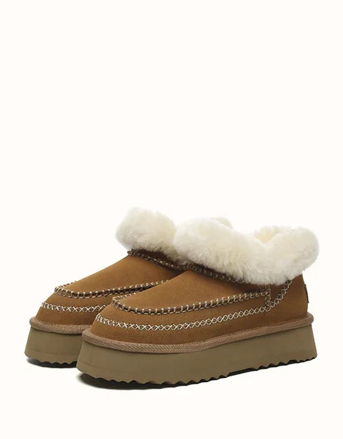 AUSTRALIAN SHEPHERD® Mini Santana Platforms