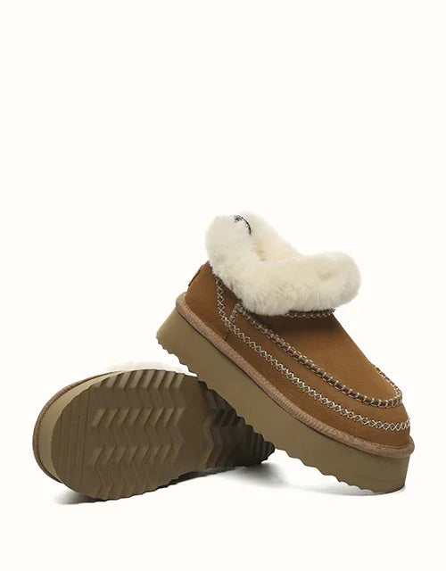 AUSTRALIAN SHEPHERD® Mini Santana Platforms